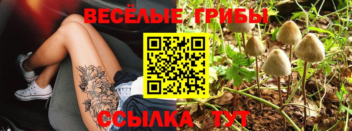 Галлюциногенные грибы Magic Shrooms  Галлюциногенные грибы Cubensis  Воркута  Вход с VPN 