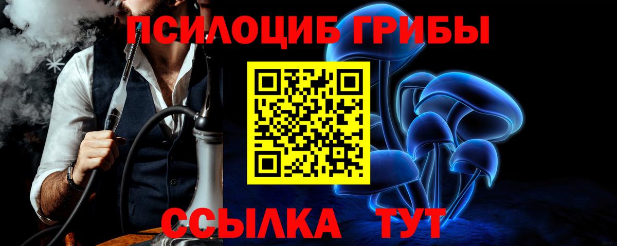 Галлюциногенные грибы MAGIC MUSHROOMS Воркута